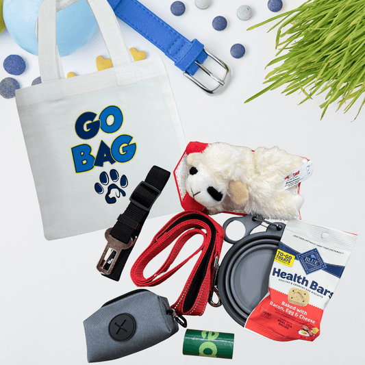 Blue themed dog walking bundle with leash, tote bag, treats and travel accessories