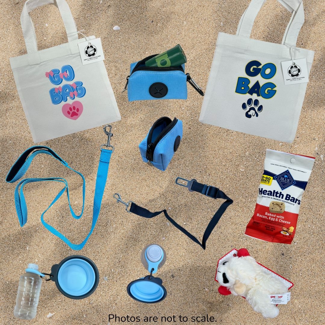 Dog go bag bundle with leash, travel bowl, treats, toy and tote bag for pet walking essentials