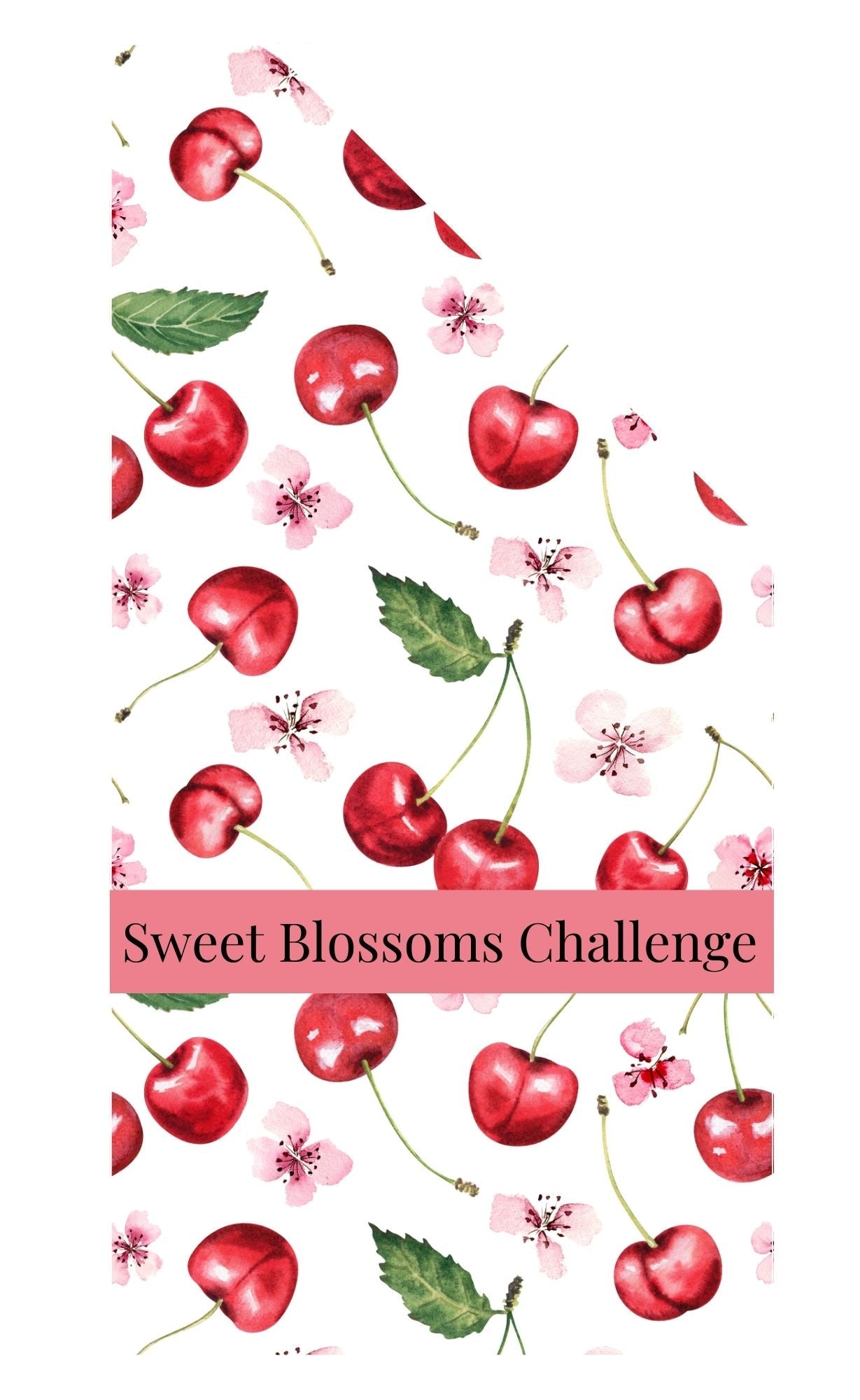Sweet Cherries $500 Savings Challenge - Splash of Charm