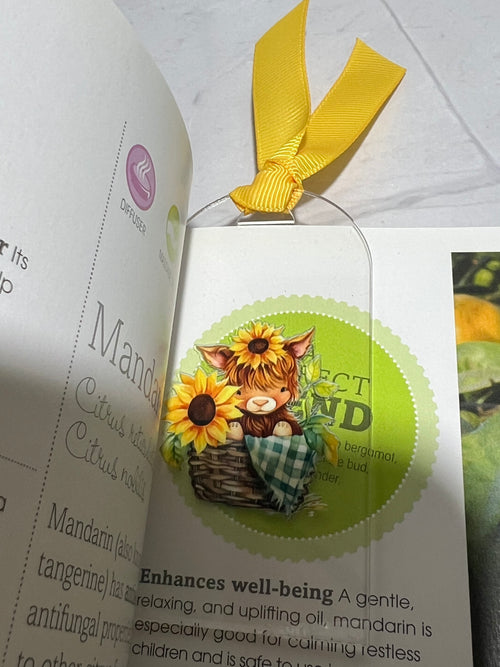 Acrylic Bookmark with Ribbon