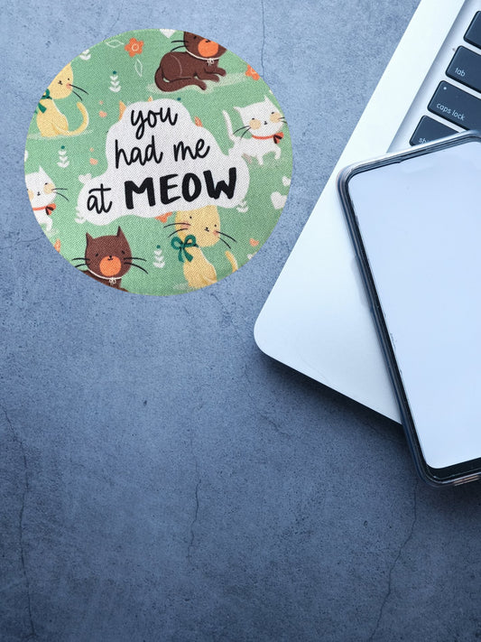 You Had Me at Meow Green Desk Coaster