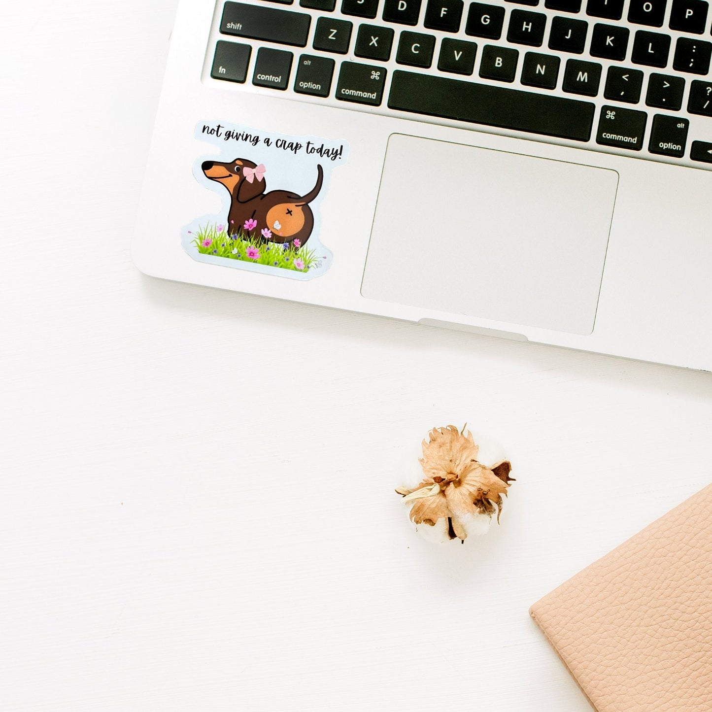 Bean the Weenie Dog Sticker - Splash of Charm