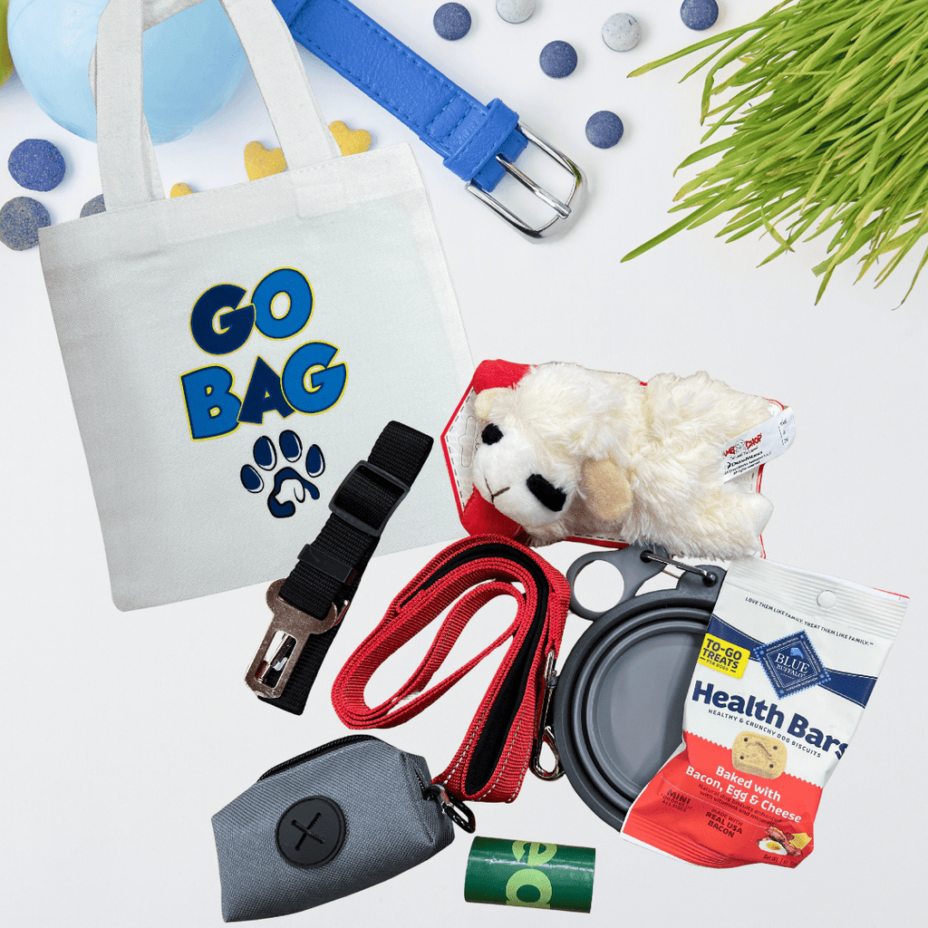 Blue themed dog walking bundle with leash, tote bag, treats and travel accessories