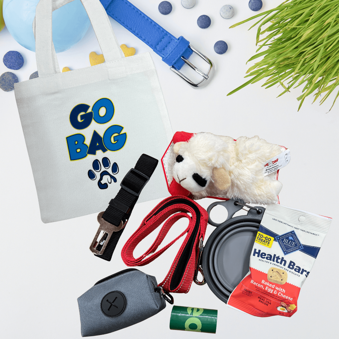 Blue themed dog walking bundle with leash, tote bag, treats and travel accessories