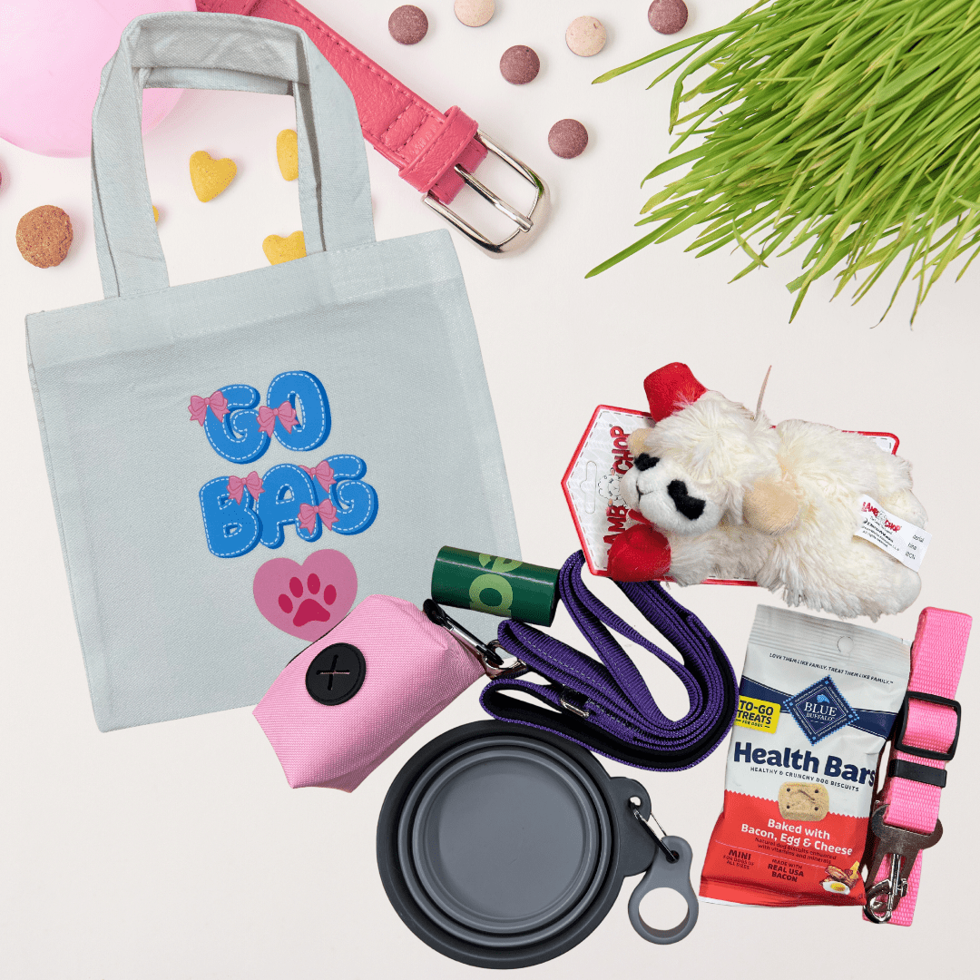 Pink themed dog go bag bundle with leash, collapsible bowl, treats and pet accessories