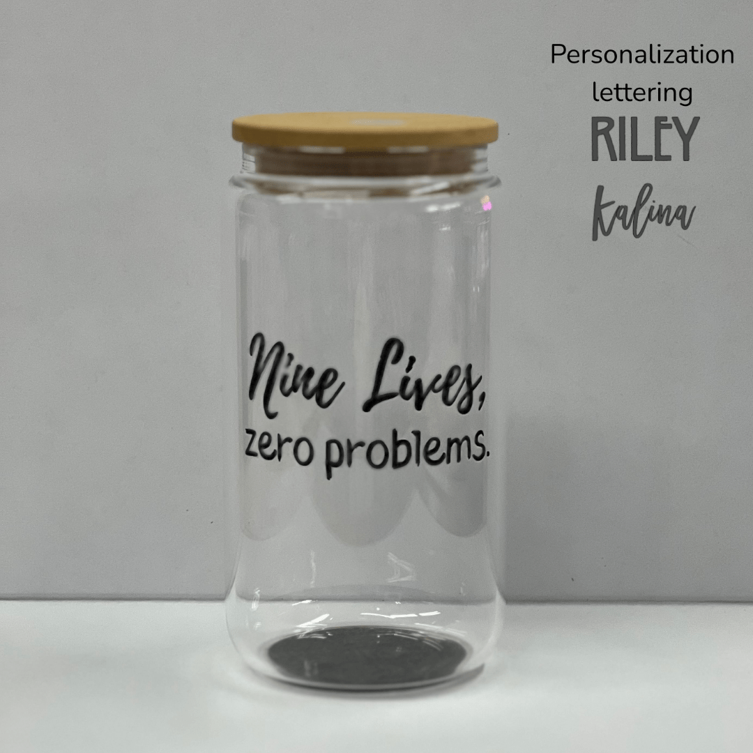 Nine Lives, Zero Problems Beer Can Glass Tumbler – Funny Cat Glass - Splash of Charm