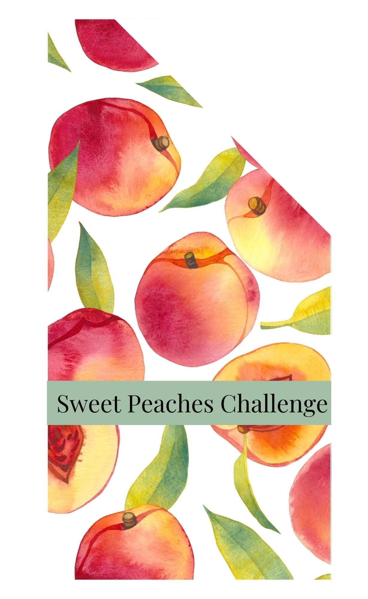 Sweet Peaches $250 Savings Challenge – Peach Savings Tracker - Splash of Charm